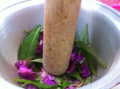 IMG_3521.jpg IMG_3521.jpg