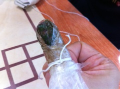 IMG_5518.jpg IMG_5518.jpg