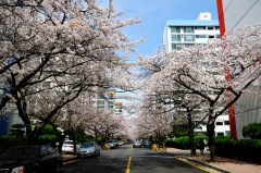 DSC_0001.jpg DSC_0001.jpg